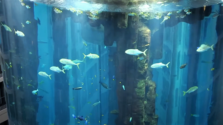 Виды аквариумов, предназначение и геометрические особенности создания